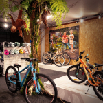 Kinderfietsen in kelder fietsenwinkel. Met mooie jungle boom